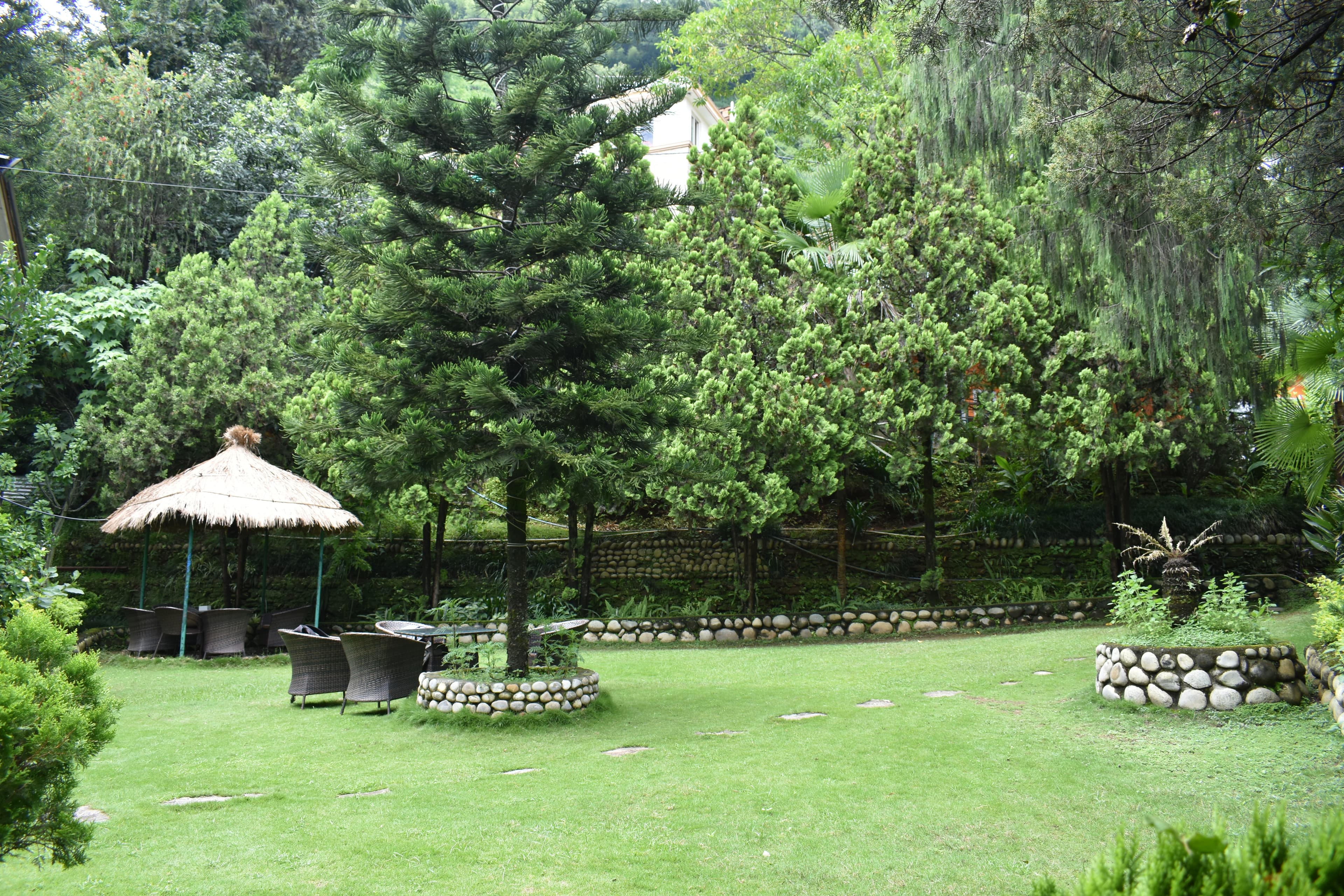 A serene yoga retreat with lush greenery